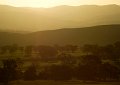 evening light 2